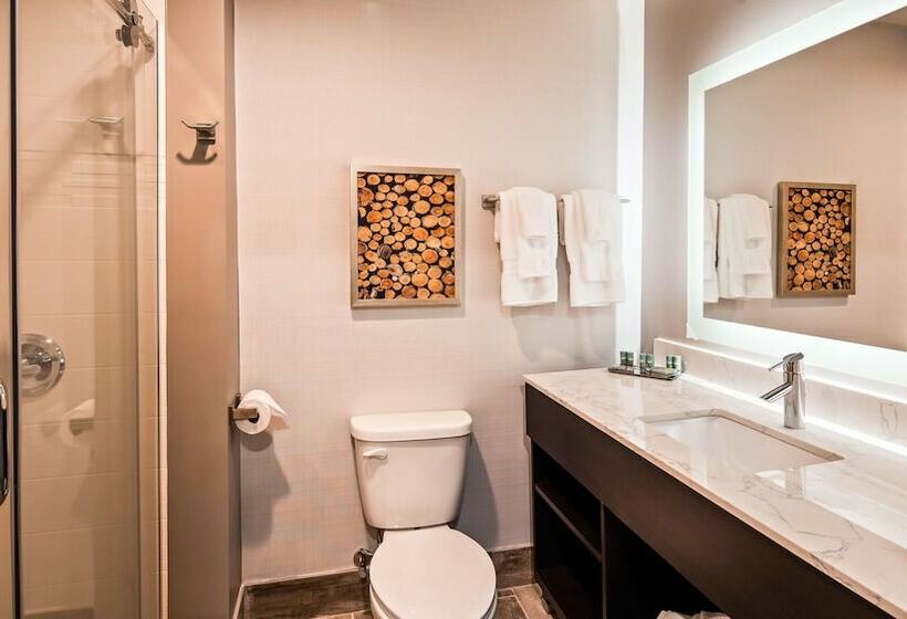 스탠다드 룸 더블 침대, Aiden By Best Western Warm Springs Hotel And Event Center