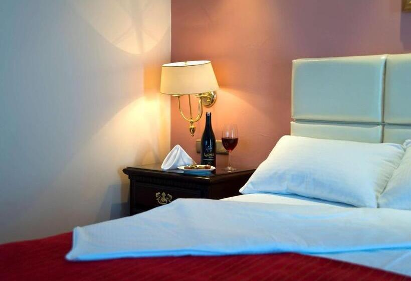 公園の見えるダブルベッドスタンダードルーム, 2000 Kavaklidere