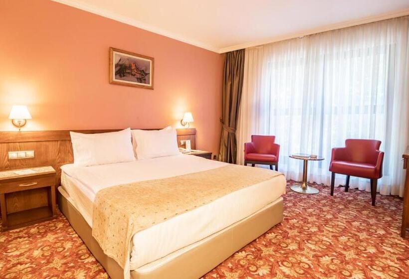 公園の見えるダブルベッドスタンダードルーム, 2000 Kavaklidere