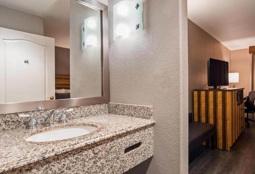 带大床的标准间, Best Western Cedar Inn & Suites