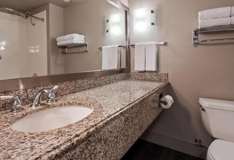 带大床的套房, Best Western Cedar Inn & Suites