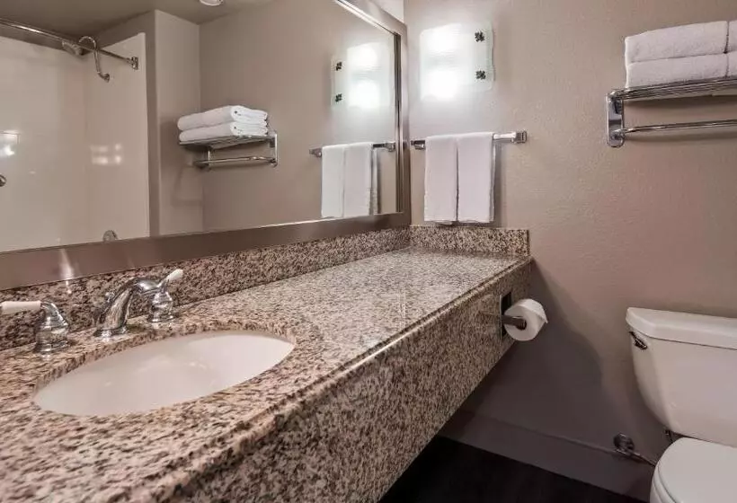 اتاق استاندارد با تخت بزرگ برای معلولان, Best Western Cedar Inn & Suites