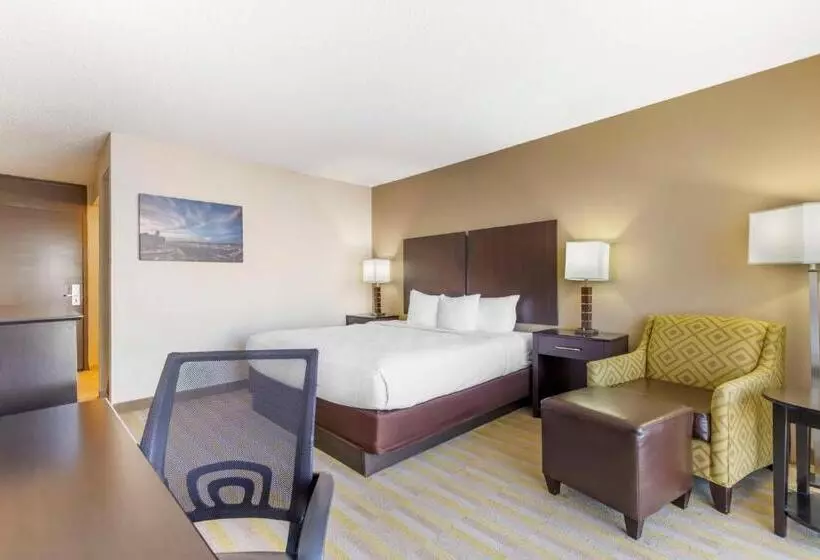 身障者適用キングサイズベッドルーム, Best Western Corpus Christi