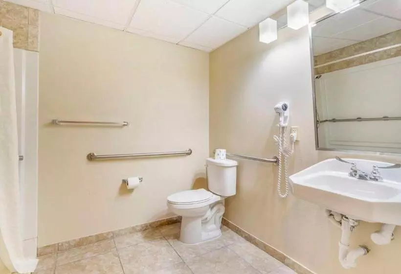 身障者適用キングサイズベッドルーム, Best Western Corpus Christi