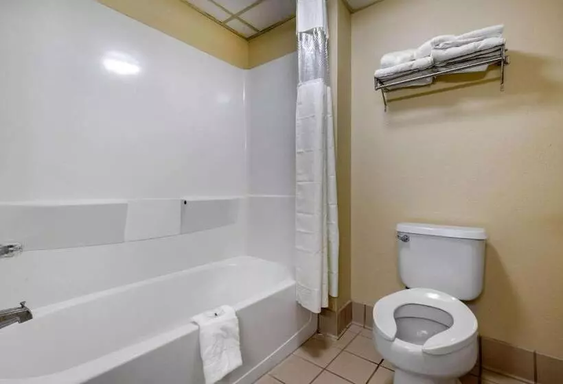 Standard-huone 2 Parivuodetta, Quality Inn