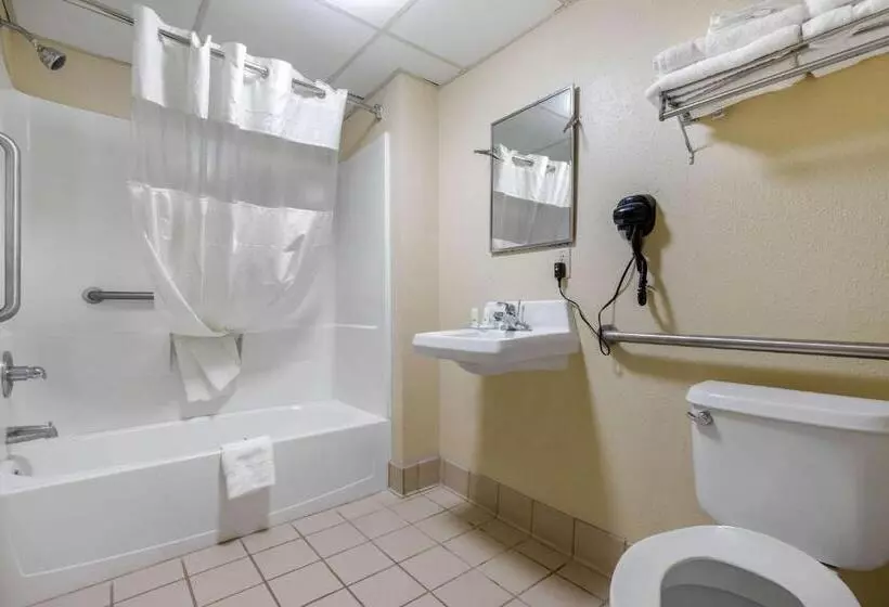 Standard-huone King-vuode, Quality Inn
