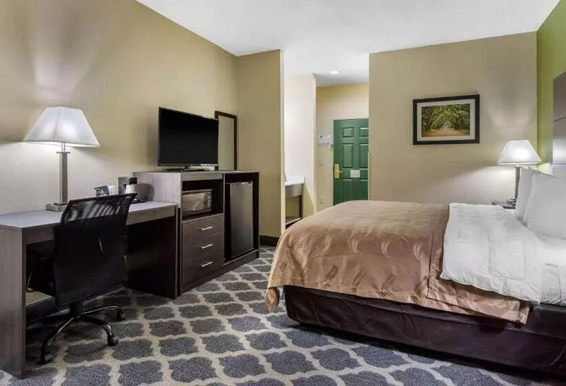 Standard-huone King-vuode, Quality Inn