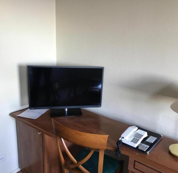 스탠다드 싱글 룸, Reisafjord