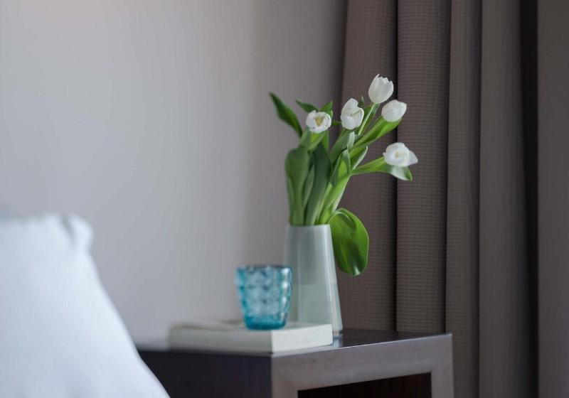 اتاق استاندارد, Rey Alfonso X