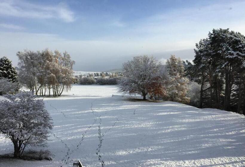 غرفة سوبيريور سرير كينج, Dalrachney Lodge