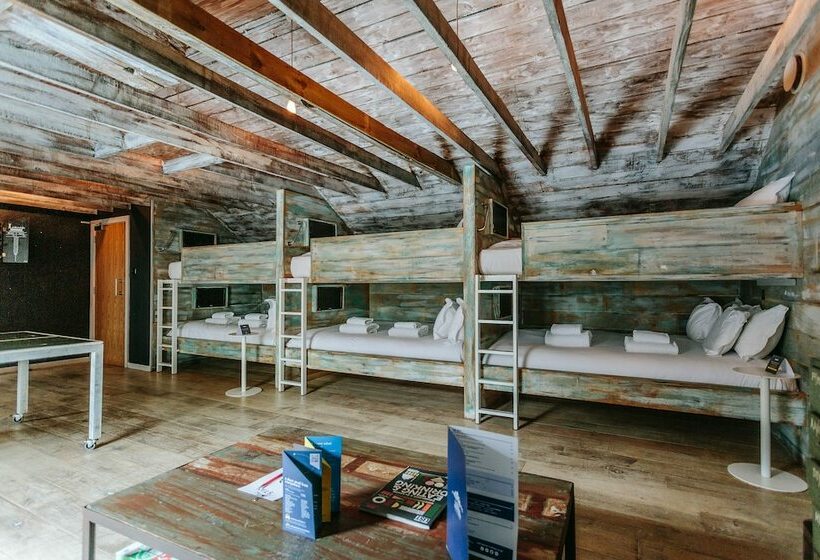 מיטה בחדר משותף, Stay Central