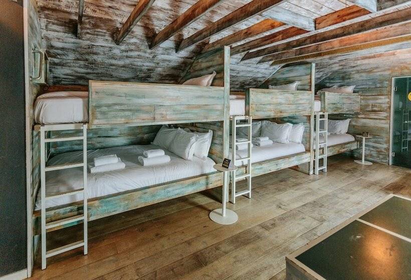 מיטה בחדר משותף, Stay Central