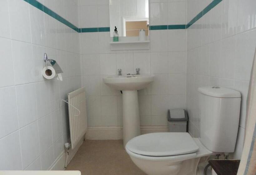 带大床的标准间, The Aidan Guest House