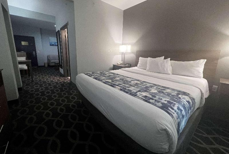 带大床的标准间, Wingate By Wyndham Humble/houston Intercontinental Airport