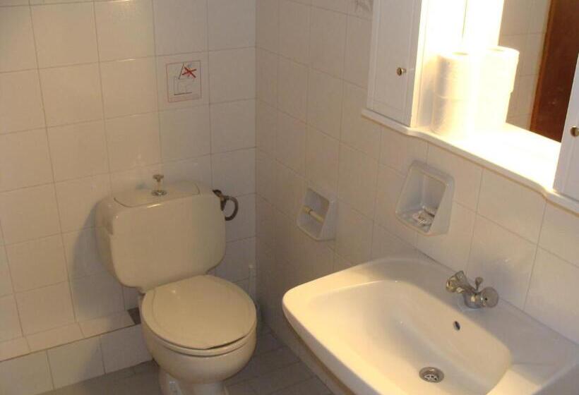 חדר סטנדרט לשלושה, Aris