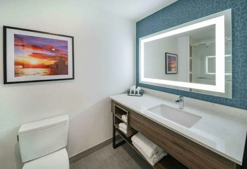 キングサイズベッドのデラックスルーム, La Quinta Inn & Suites By Wyndham Texas City I 45