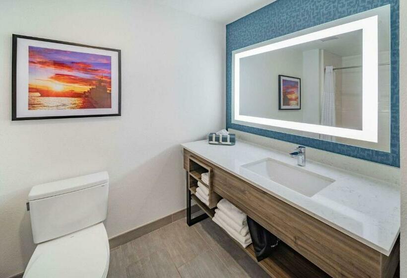 חדר דחוקס עם מיטת קינג, La Quinta Inn & Suites By Wyndham Texas City I 45