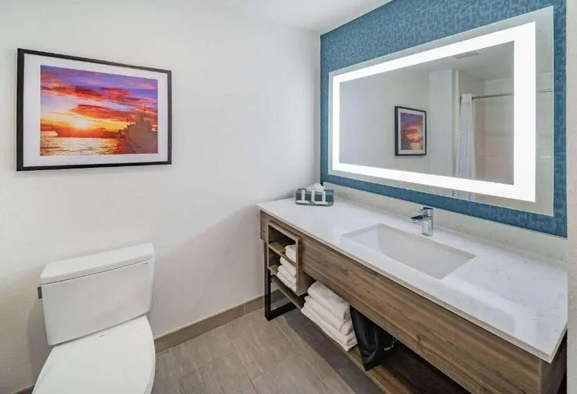 身障者適用キングサイズベッドルーム, La Quinta Inn & Suites By Wyndham Texas City I 45