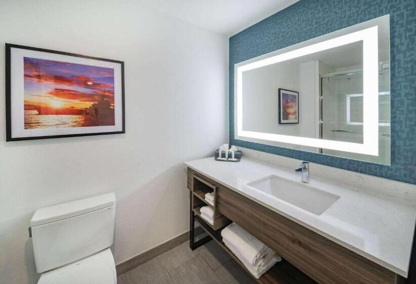 اتاق استاندارد برای معلولان, La Quinta Inn & Suites By Wyndham Texas City I 45