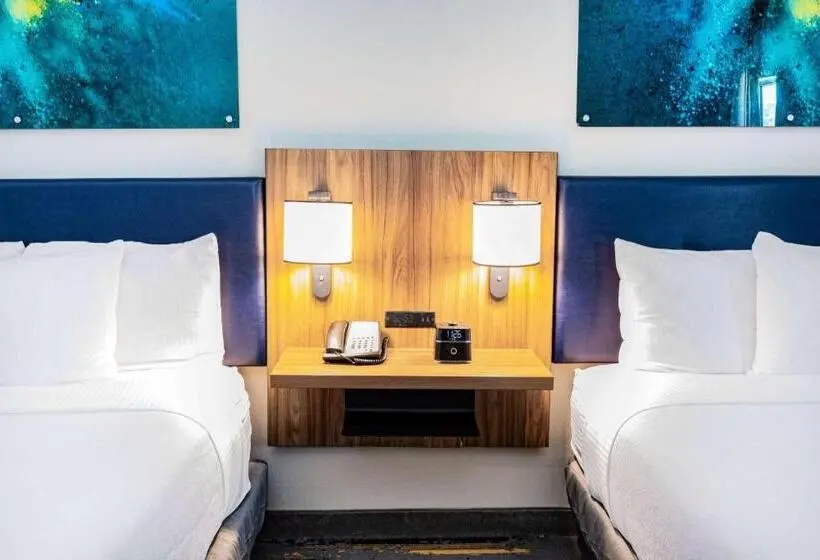 身障者適用スタンダードルーム, La Quinta Inn & Suites By Wyndham Texas City I 45