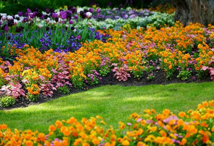 适合残疾人使用的标准间, Pulverhütte Gästehaus Im Egapark Ein Projekt Der Lebenshilfe Erfurt Service Ggmbh