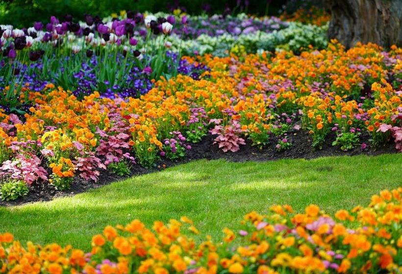 标准单人间, Pulverhütte Gästehaus Im Egapark Ein Projekt Der Lebenshilfe Erfurt Service Ggmbh