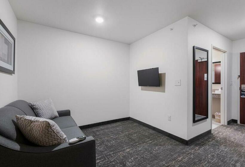 Студио Стандарт Кровать Кинг, Cobblestone Hotel & Suites   Urbana