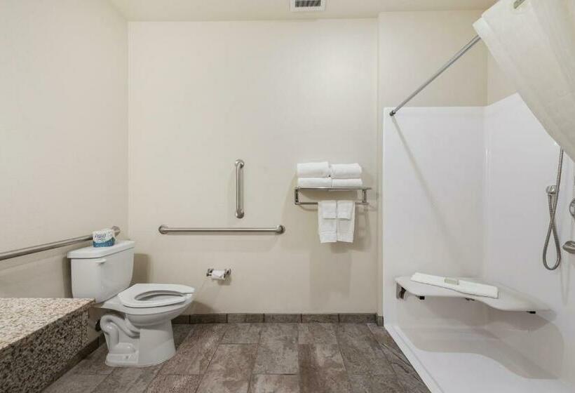 غرفة قياسية سرير كينج لذوى الإحتياجات الخاصة, Cobblestone Hotel & Suites   Urbana