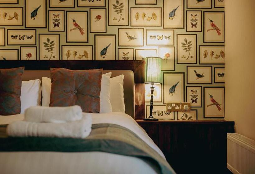 Quarto Estandar, The Red Lion