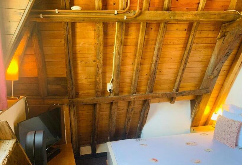 اتاق اکونومی, Amsterdam Central Guest House