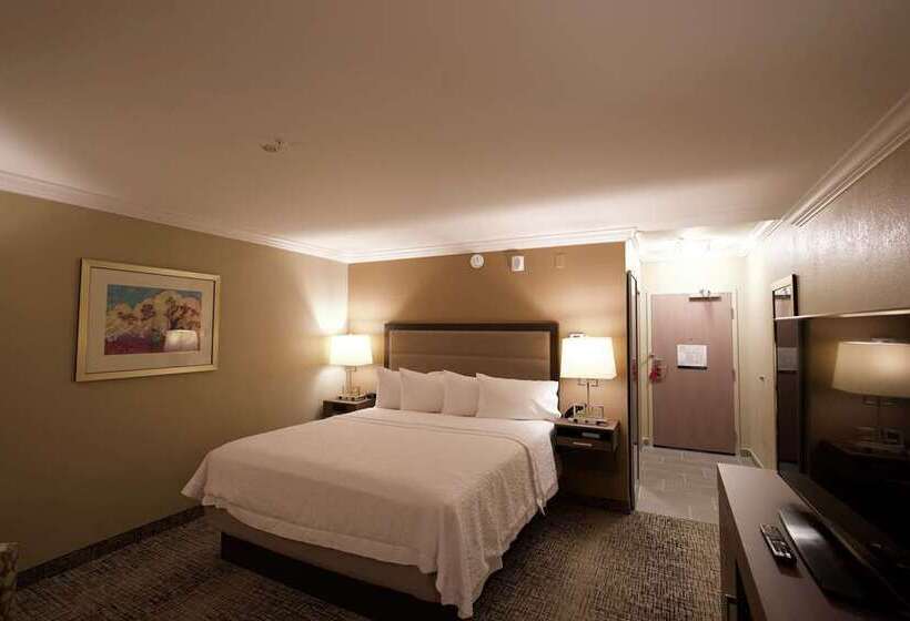 带大床的标准间, Hampton Inn & Suites Keller Town Center