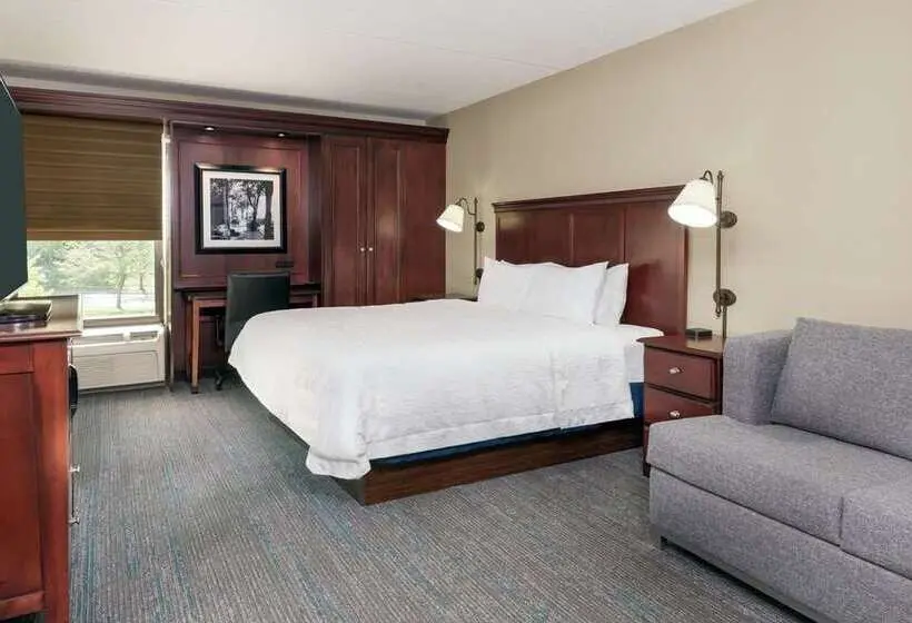 スタンダードルーム, Hampton Inn & Suites Keller Town Center