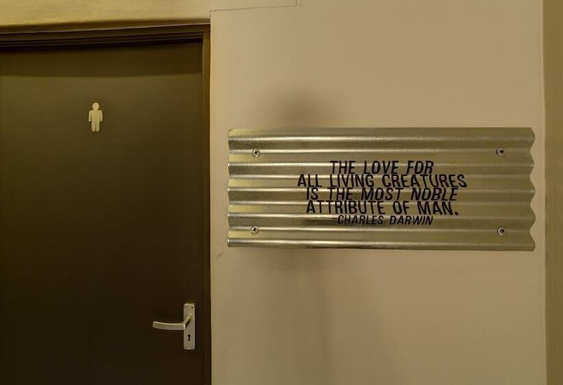 تختخواب در اتاق مشترک, Naankuse Travellers Inn   Hostel