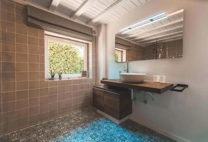 اتاق استاندارد با تخت بزرگ, B&b Hof Ter Koningen