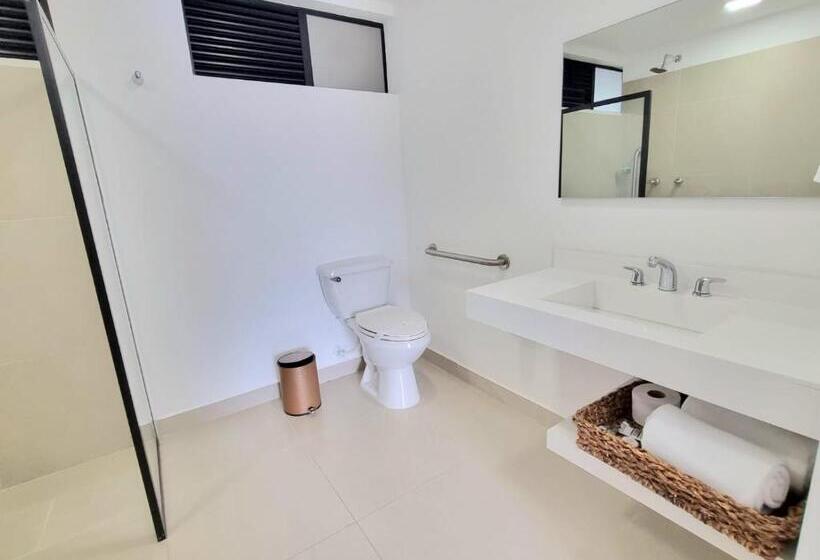 Студия Стандарт, Origen Local Suites