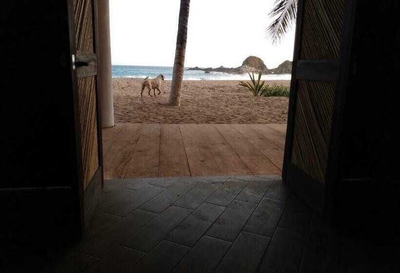 바다 전망 스위트, Posada Buda Tortuga