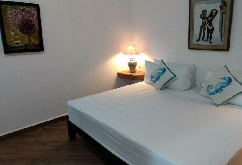 테라스 스위트, Posada Buda Tortuga