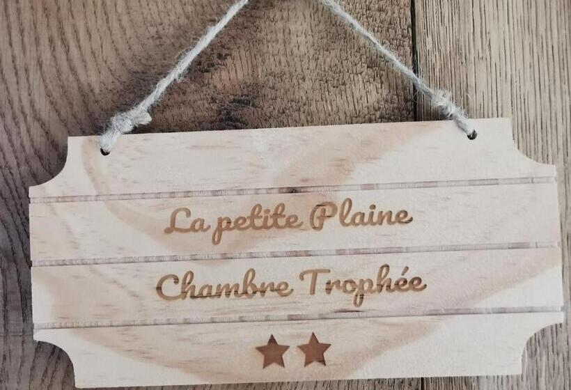 Номер Стандарт Вид на Сад, La Petite Plaine