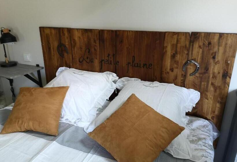 חדר משפחתי, La Petite Plaine