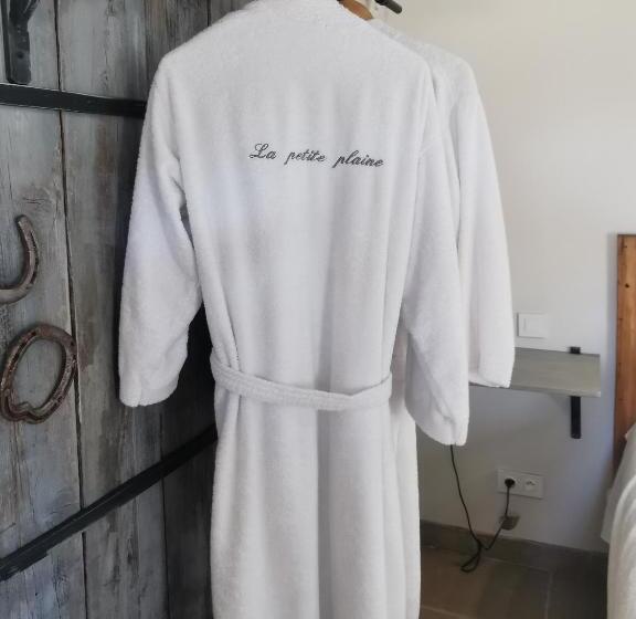 חדר משפחתי, La Petite Plaine