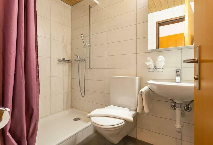 غرفة قياسية مطلّة علي البحيرة, Seehotel Sternen