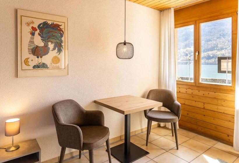 Номер Стандарт Вид на Озеро, Seehotel Sternen