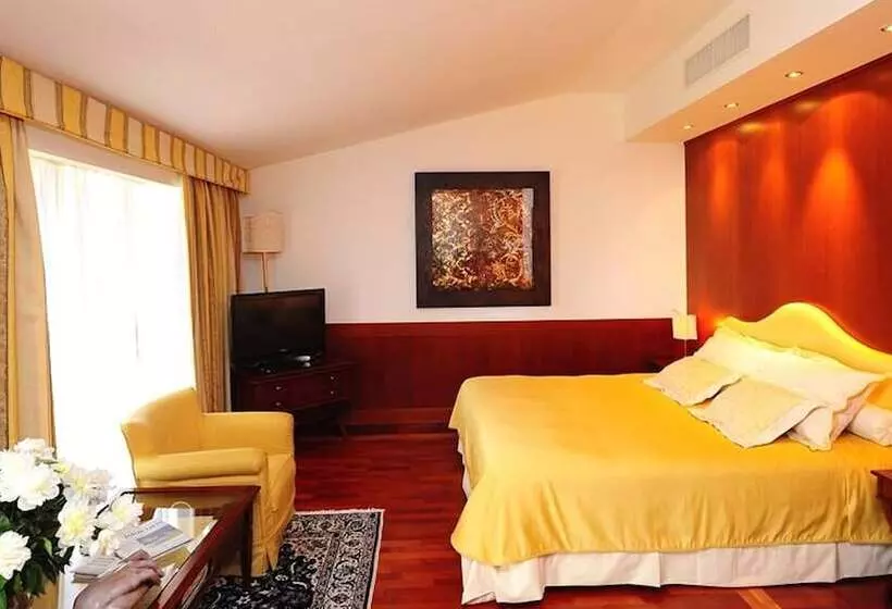 デラックスルーム, Bv Grand Hotel Assisi