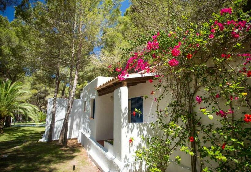 بانگلوی استاندارد, Insotel Club Maryland