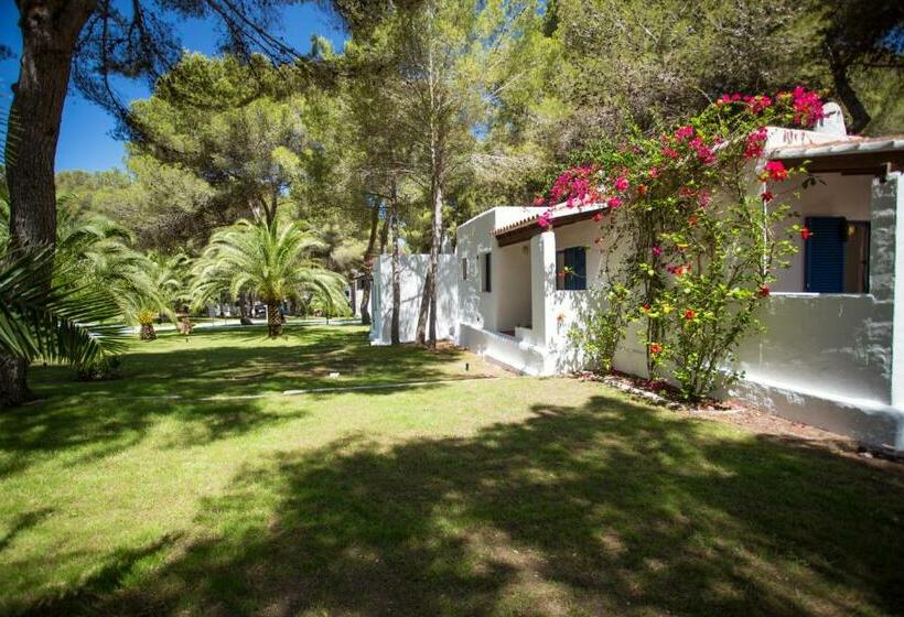 اتاق استاندارد, Insotel Club Maryland