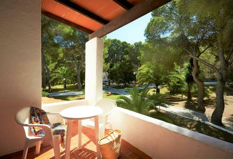 اتاق استاندارد, Insotel Club Maryland