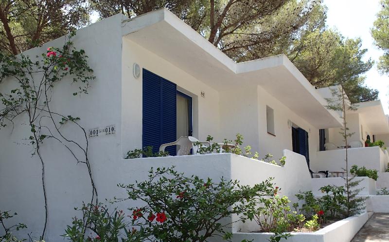 اتاق استاندارد, Insotel Club Maryland