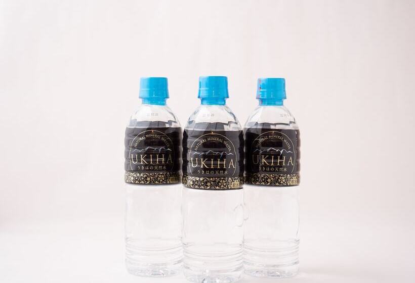 اتاق استاندارد برای معلولان, Front Inn Fukuoka Airport