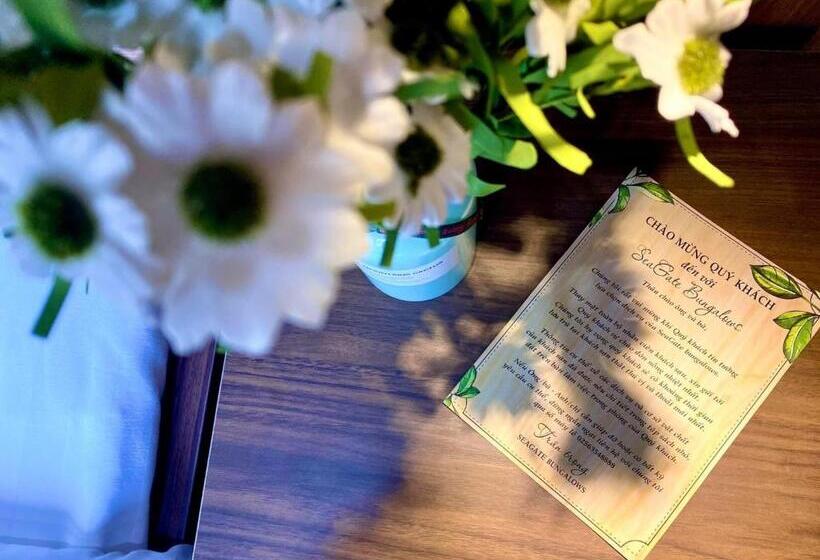 بانگلوی لوکس, Seagate Bungalow Quy Nhon