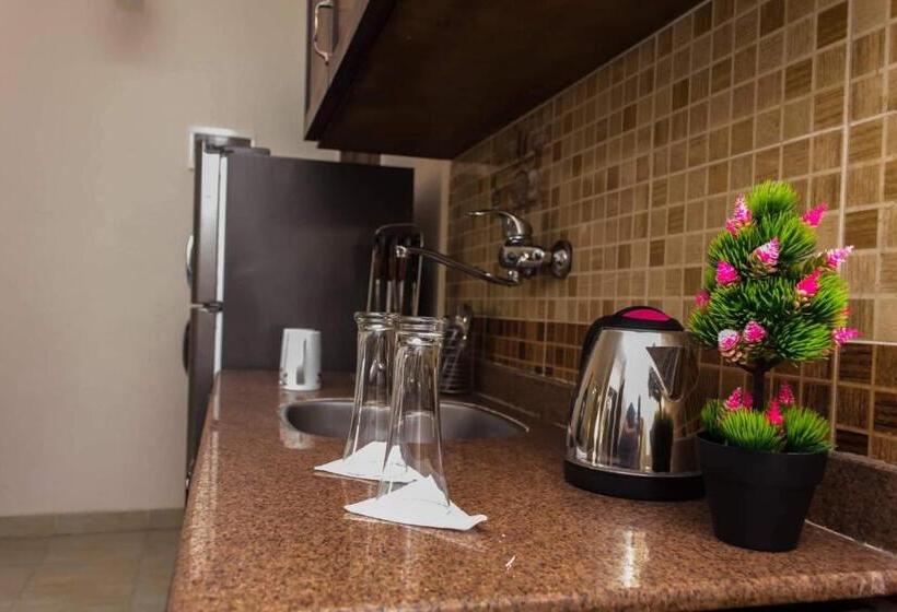 آپارتمان 1 خوابه با تراس, Charbel Apartments